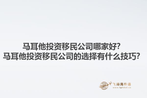 马耳他投资移民公司哪家好？马耳他投资移民公司的选择有什么技巧？