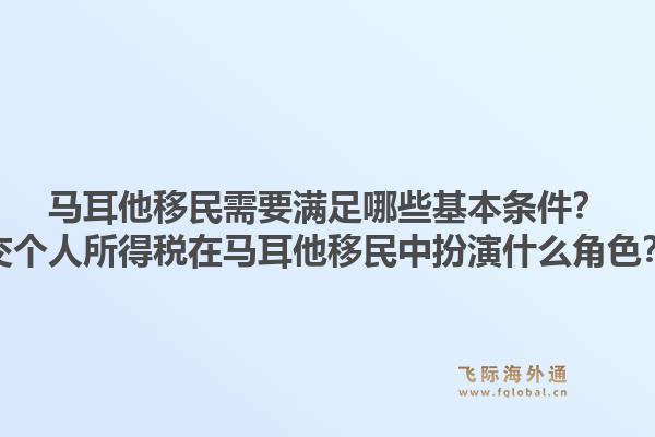 马耳他移民需要满足哪些基本条件？交个人所得税在马耳他移民中扮演什么角色？1.jpg