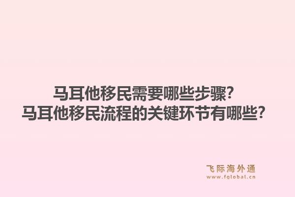马耳他移民需要哪些步骤？马耳他移民流程的关键环节有哪些？1.jpg