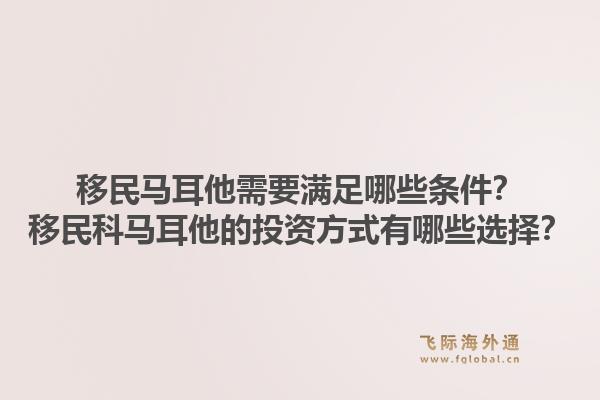移民马耳他需要满足哪些条件？移民科马耳他的投资方式有哪些选择？1.jpg