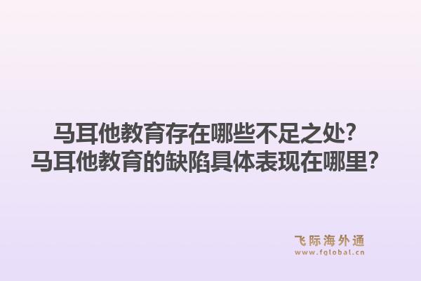 马耳他教育存在哪些不足之处？马耳他教育的缺陷具体表现在哪里？1.jpg
