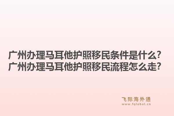 广州办理马耳他护照移民条件是什么？广州办理马耳他护照移民流程怎么走？1.jpg