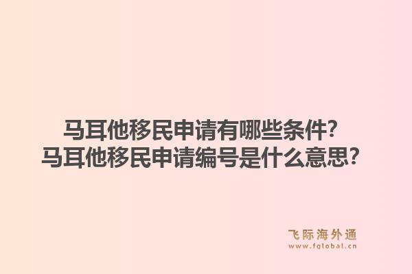马耳他移民申请有哪些条件？马耳他移民申请编号是什么意思？1.jpg