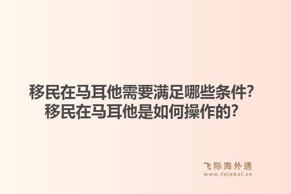 移民在马耳他需要满足哪些条件？移民在马耳他是如何操作的？1.jpg