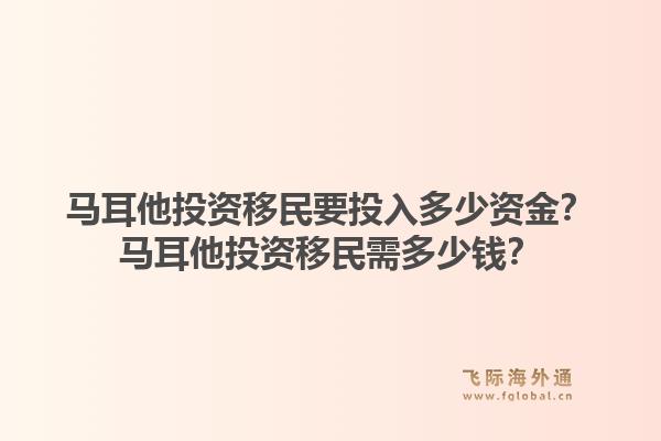 马耳他投资移民要投入多少资金？马耳他投资移民需多少钱？1.jpg