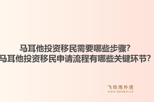 马耳他投资移民需要哪些步骤？马耳他投资移民申请流程有哪些关键环节？1.jpg