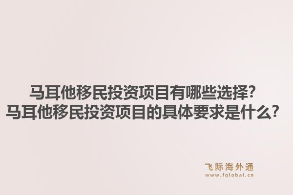 马耳他移民投资项目有哪些选择？马耳他移民投资项目的具体要求是什么？1.jpg