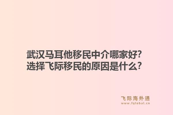 武汉马耳他移民中介哪家好？选择飞际移民的原因是什么？1.jpg