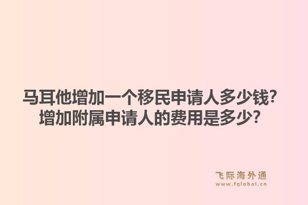 马耳他增加一个移民申请人多少钱？增加附属申请人的费用是多少？1.jpg