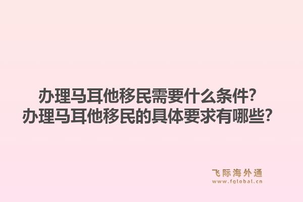办理马耳他移民需要什么条件？办理马耳他移民的具体要求有哪些？1.jpg