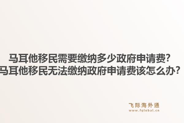 马耳他移民需要缴纳多少政府申请费？马耳他移民无法缴纳政府申请费该怎么办？1.jpg