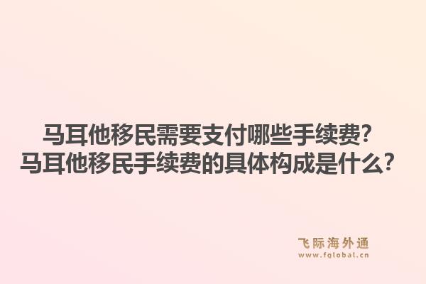 马耳他移民需要支付哪些手续费？马耳他移民手续费的具体构成是什么？1.jpg