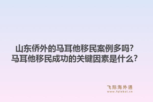 山东侨外的马耳他移民案例多吗？马耳他移民成功的关键因素是什么？1.jpg