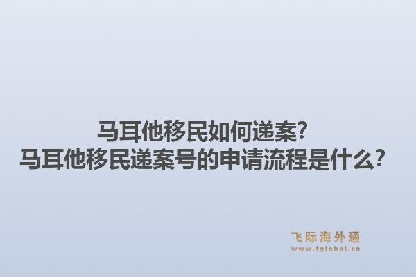 马耳他移民如何递案？马耳他移民递案号的申请流程是什么？1.jpg