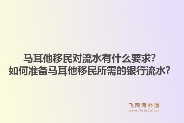 马耳他移民对流水有什么要求?如何准备马耳他移民所需的银行流水?1.jpg