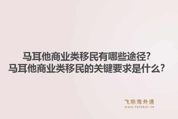 马耳他商业类移民有哪些途径?马耳他商业类移民的关键要求是什么?1.jpg