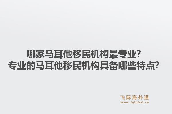 哪家马耳他移民机构最专业?专业的马耳他移民机构具备哪些特点?1.jpg