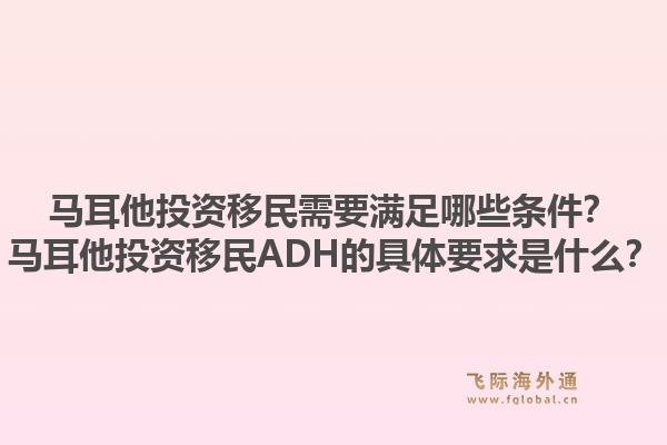 马耳他投资移民需要满足哪些条件?马耳他投资移民ADH的具体要求是什么?1.jpg