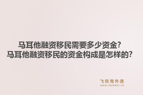 马耳他融资移民需要多少资金？马耳他融资移民的资金构成是怎样的？1.jpg