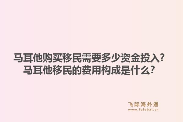 马耳他购买移民需要多少资金投入？马耳他移民的费用构成是什么？1.jpg