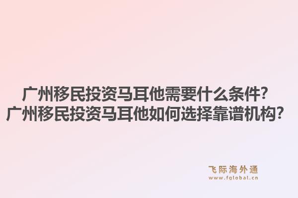 广州移民投资马耳他需要什么条件？广州移民投资马耳他如何选择靠谱机构？1.jpg
