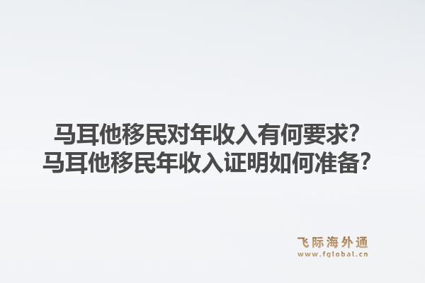 马耳他移民对年收入有何要求？马耳他移民年收入证明如何准备？1.jpg