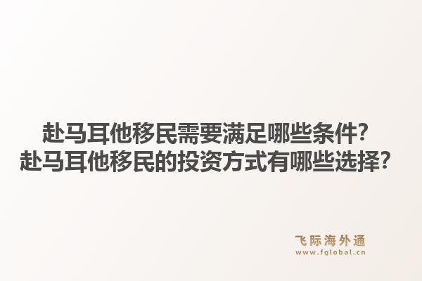 赴马耳他移民需要满足哪些条件？赴马耳他移民的投资方式有哪些选择？1.jpg