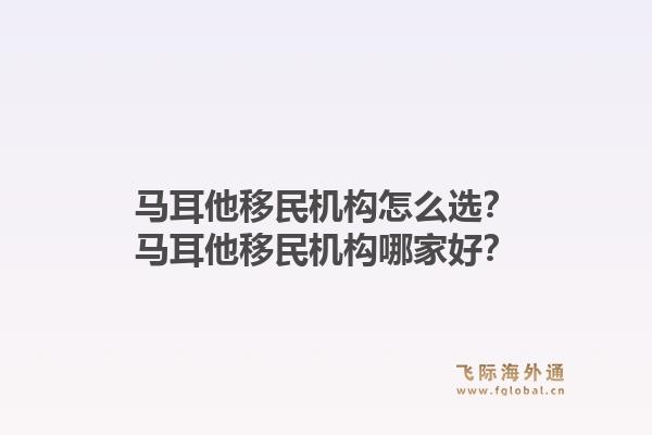 马耳他移民机构怎么选？马耳他移民机构哪家好？1.jpg