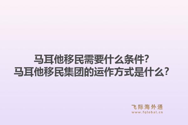 马耳他移民需要什么条件？马耳他移民集团的运作方式是什么？1.jpg