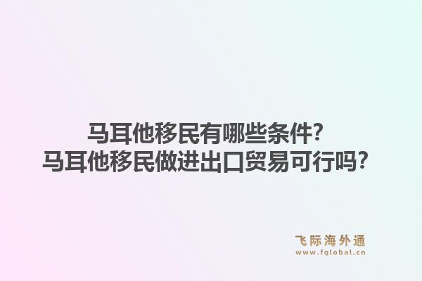 马耳他移民有哪些条件？马耳他移民做进出口贸易可行吗？