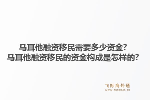 马耳他融资移民需要多少资金？马耳他融资移民的资金构成是怎样的？