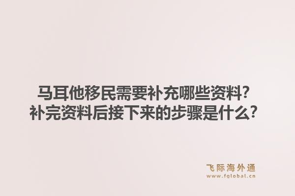 马耳他移民需要补充哪些资料？补完资料后接下来的步骤是什么？