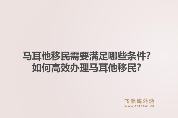 马耳他移民需要满足哪些条件？如何高效办理马耳他移民？