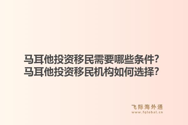 马耳他投资移民需要哪些条件？马耳他投资移民机构如何选择？1.jpg
