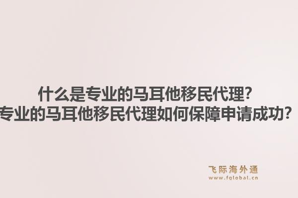 什么是专业的马耳他移民代理?专业的马耳他移民代理如何保障申请成功?1.jpg