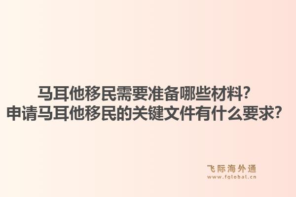马耳他移民需要准备哪些材料？申请马耳他移民的关键文件有什么要求？1.jpg