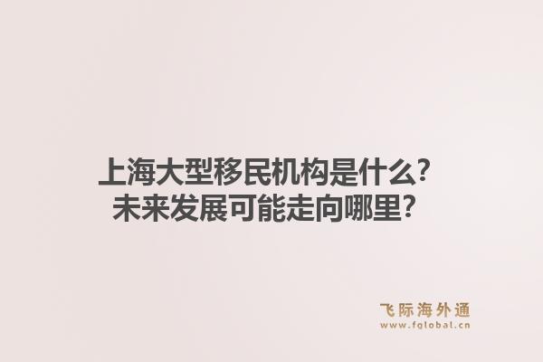 上海大型移民机构是什么?未来发展可能走向哪里?1.jpg