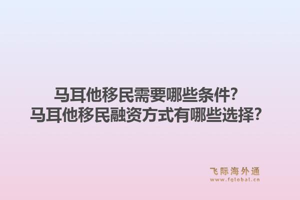 马耳他移民需要哪些条件？马耳他移民融资方式有哪些选择？