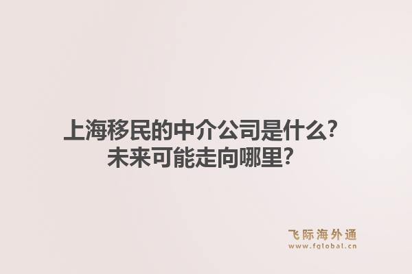 上海移民的中介公司是什么？未来可能走向哪里？