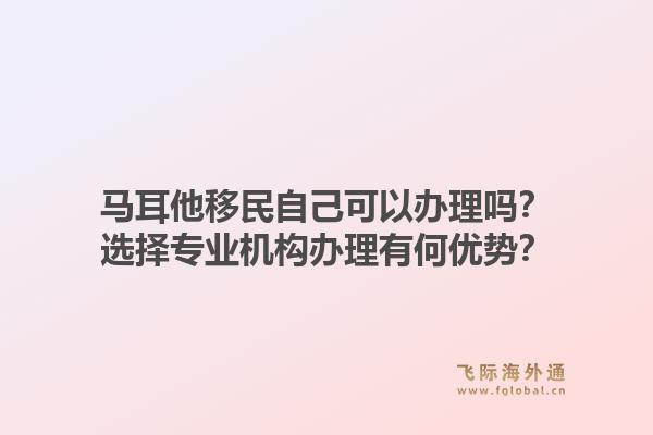 马耳他移民自己可以办理吗？选择专业机构办理有何优势？