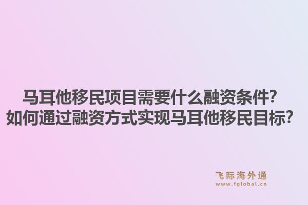 马耳他移民项目需要什么融资条件？如何通过融资方式实现马耳他移民目标？