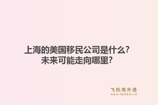 上海的美国移民公司是什么？未来可能走向哪里？