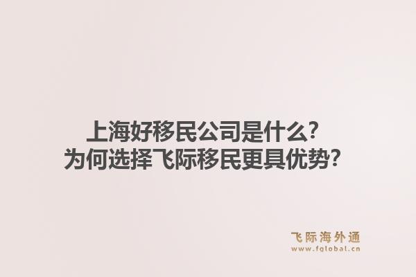 上海好移民公司是什么？为何选择飞际移民更具优势？
