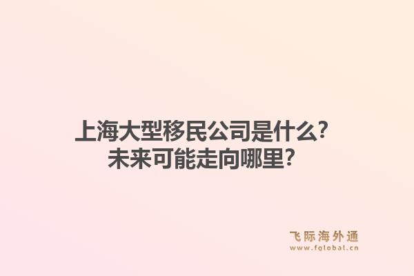 上海大型移民公司是什么？未来可能走向哪里？