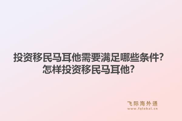 投资移民马耳他需要满足哪些条件？怎样投资移民马耳他？
