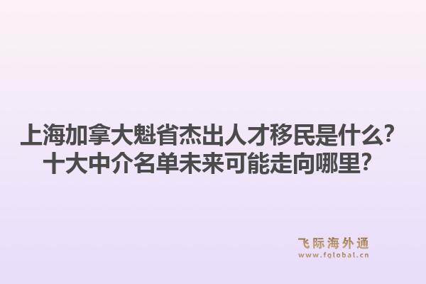 上海加拿大魁省杰出人才移民是什么？十大中介名单未来可能走向哪里？