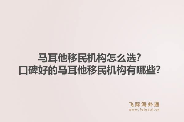 马耳他移民机构怎么选？口碑好的马耳他移民机构有哪些？