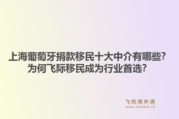 上海葡萄牙捐款移民十大中介有哪些？为何飞际移民成为行业首选？