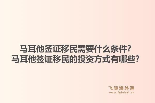 马耳他签证移民需要什么条件？马耳他签证移民的投资方式有哪些？