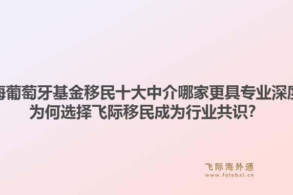 上海葡萄牙基金移民十大中介哪家更具专业深度？为何选择飞际移民成为行业共识？1.jpg